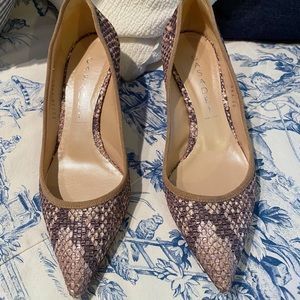 Casadei Snake Heels